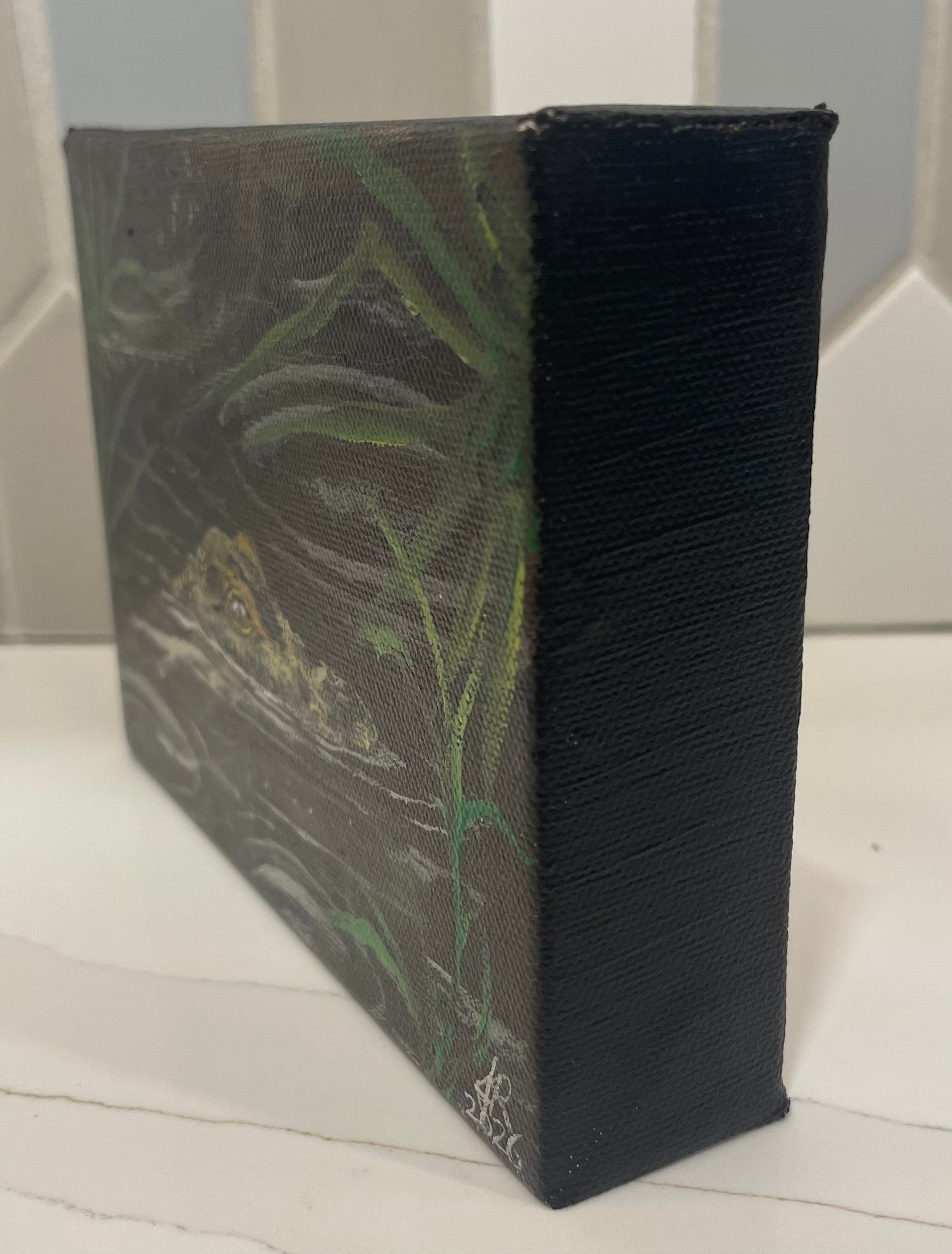 Sneaky Baby Gator