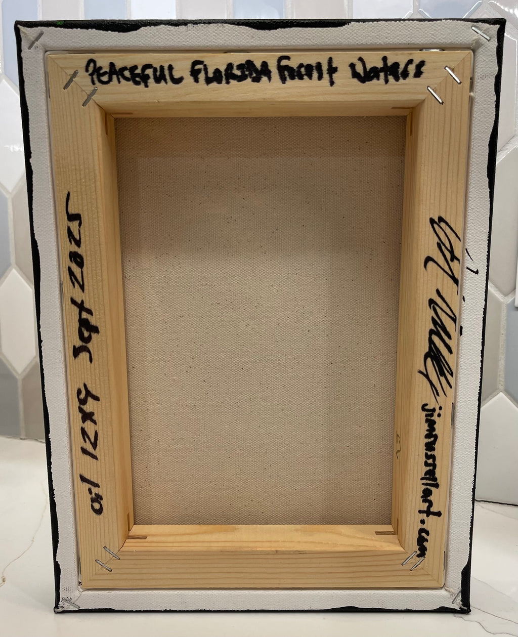 Peaceful Florida Forest Waters