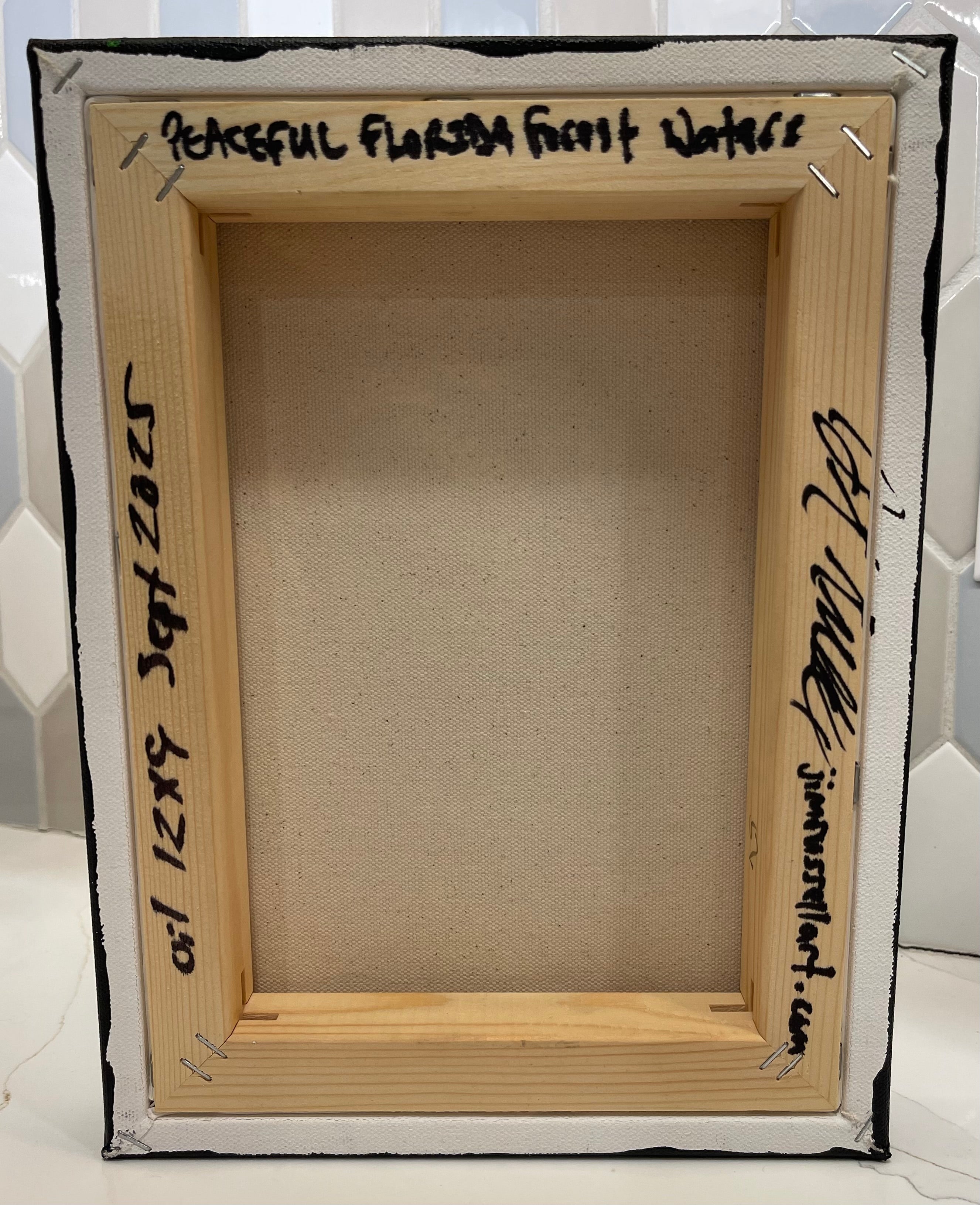 Peaceful Florida Forest Waters