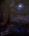 Fireflies Alight at Night