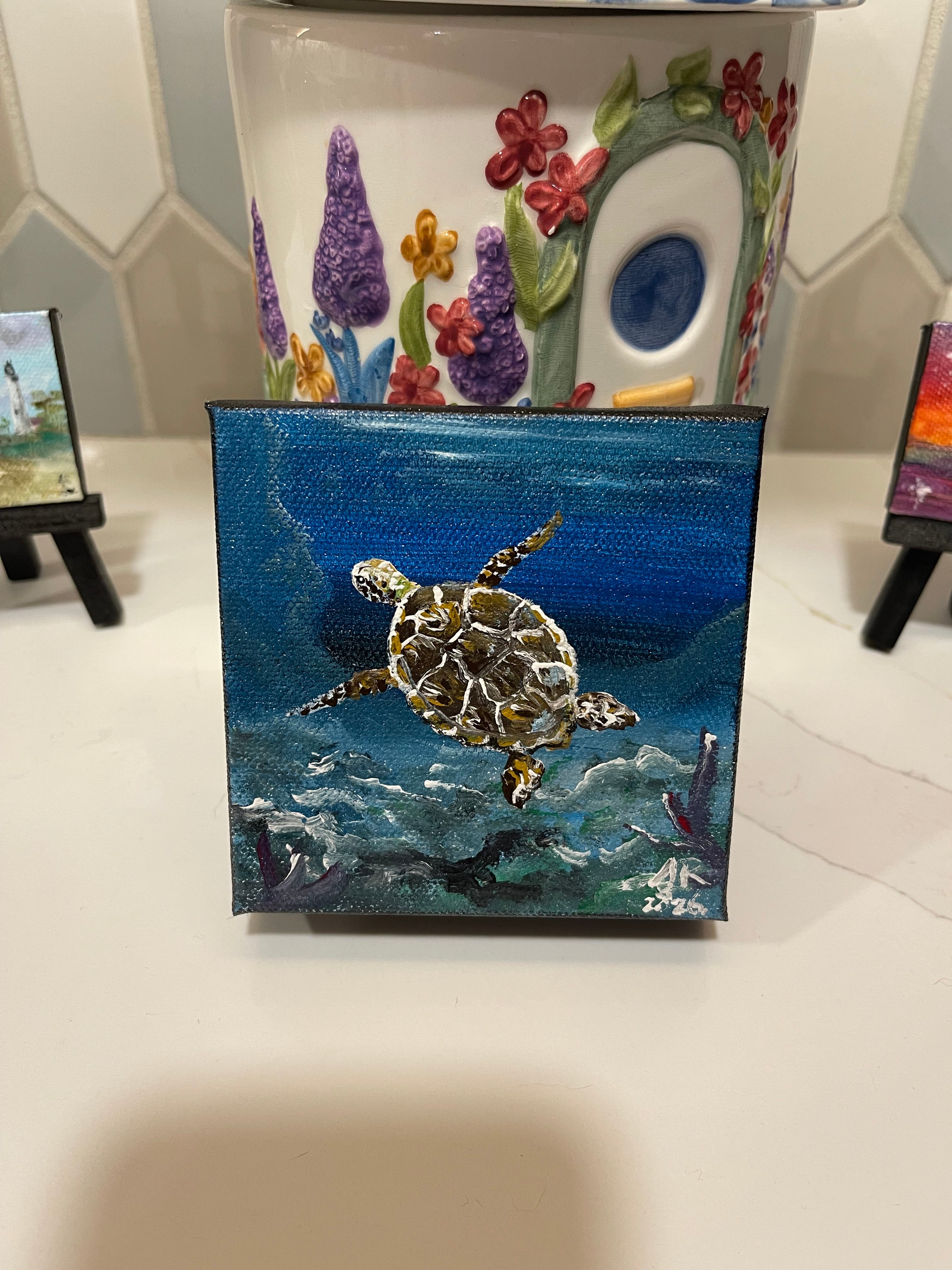 Sea Turtle Reef Time