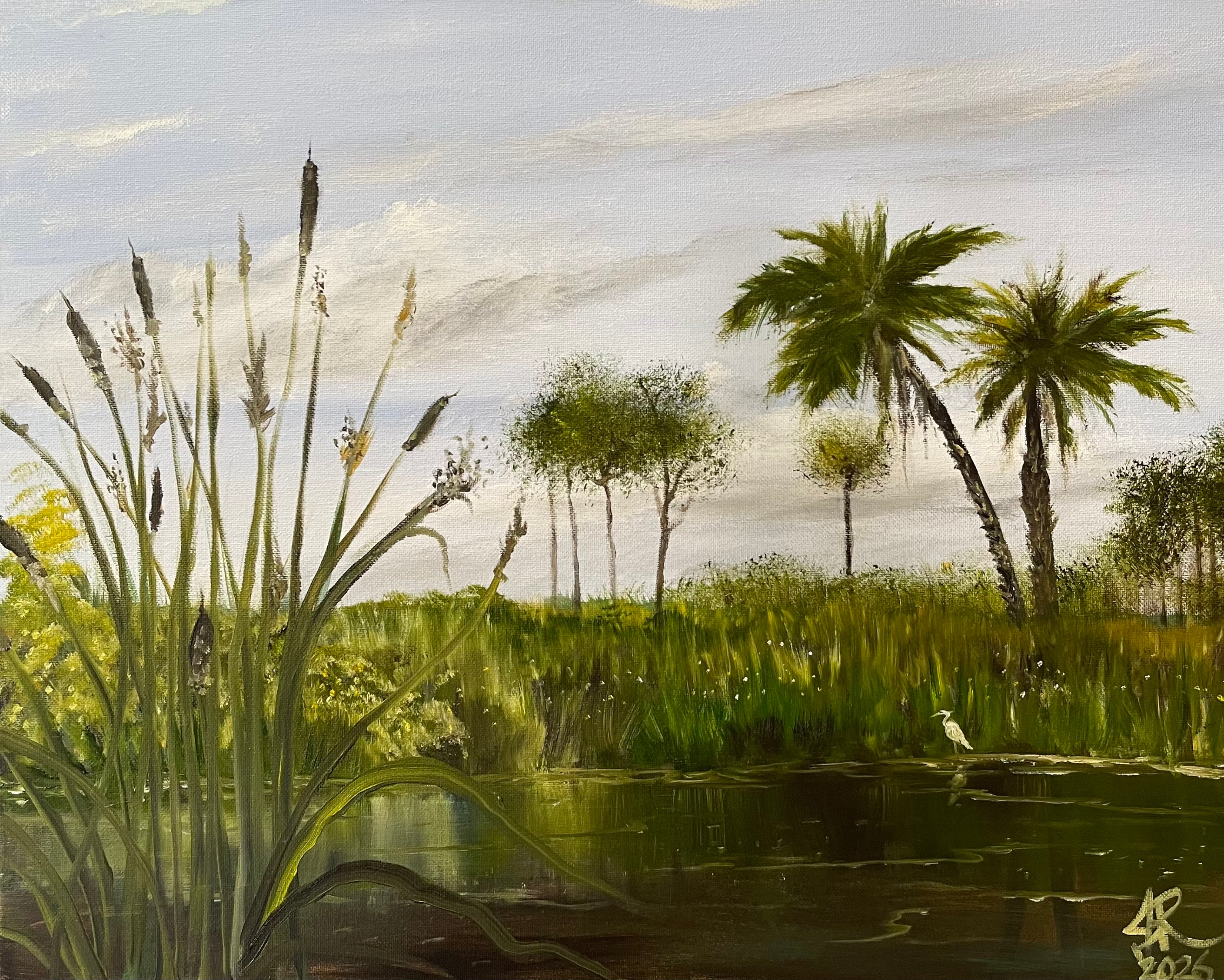 Florida Wetland Pool