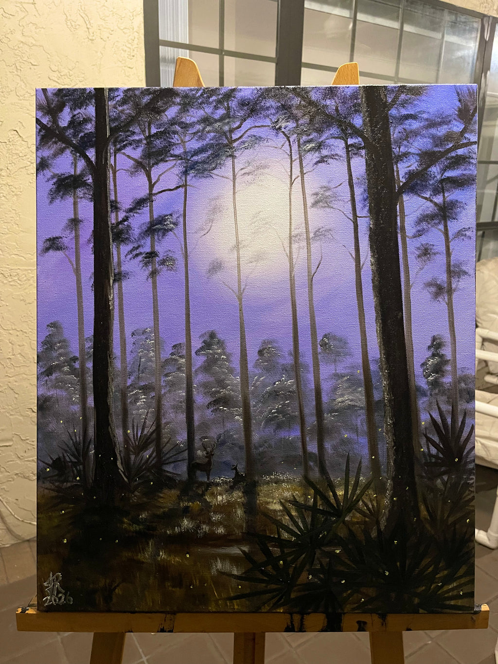 Night Shadows in a Florida Forest