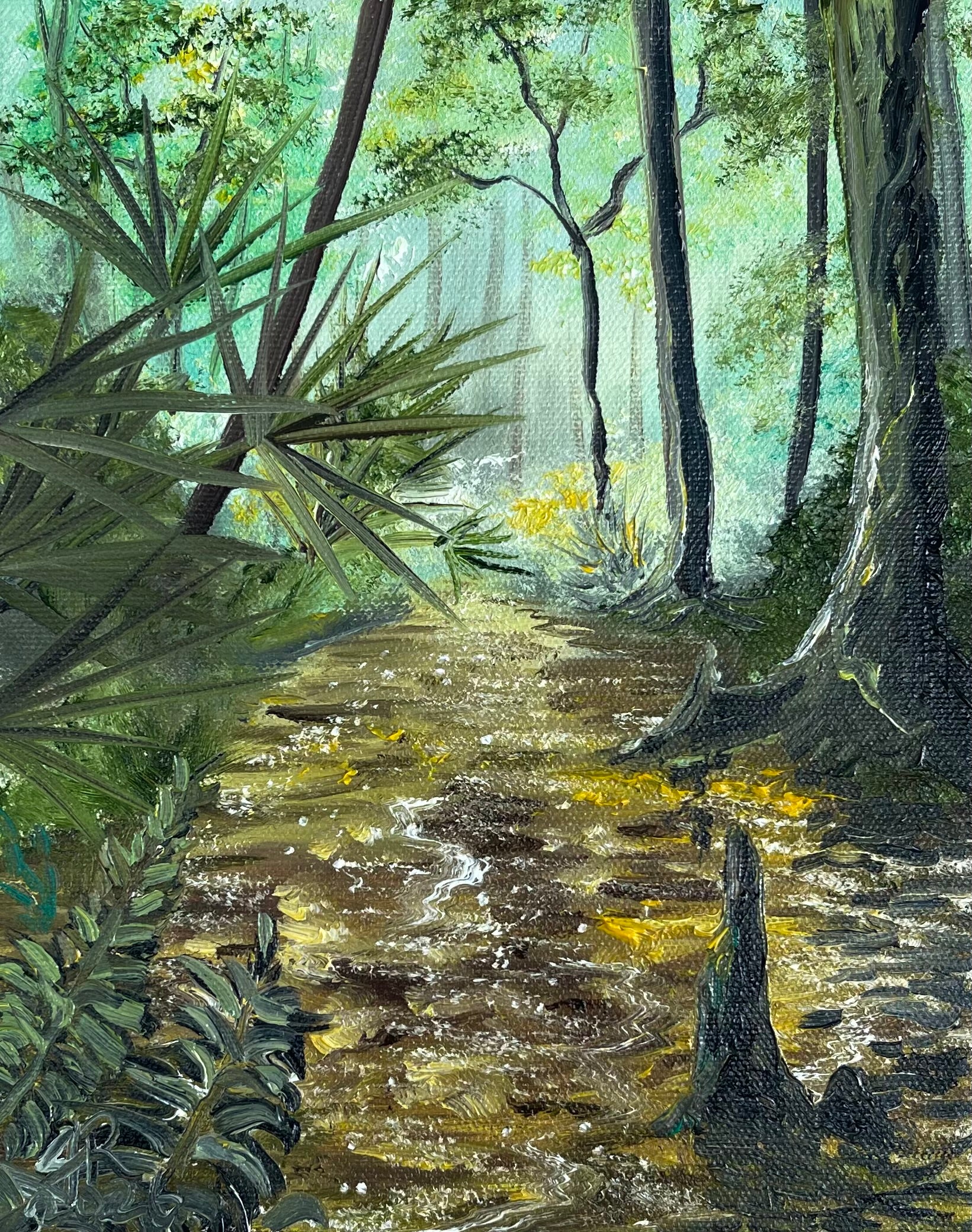 Florida Swamp River