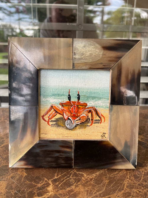 Crab Strikes it Rich