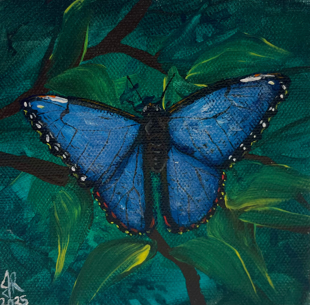 Blue Morpho Butterfly