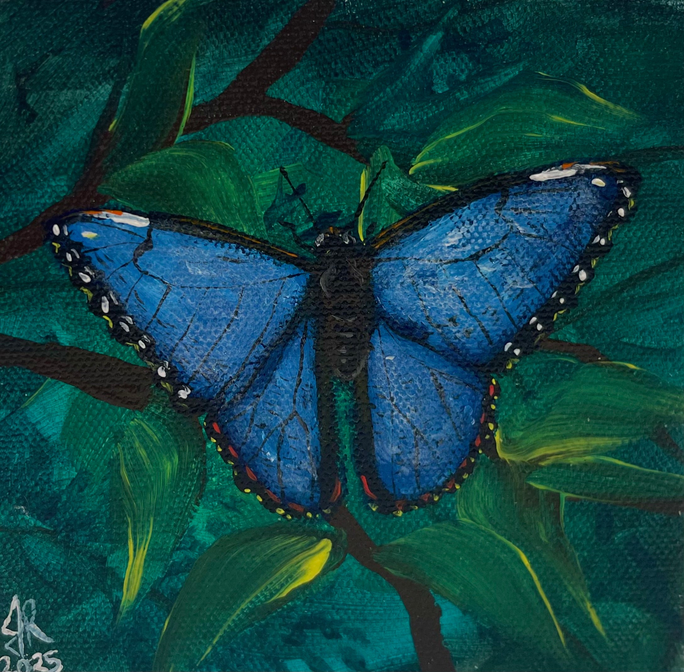 Blue Morpho Butterfly