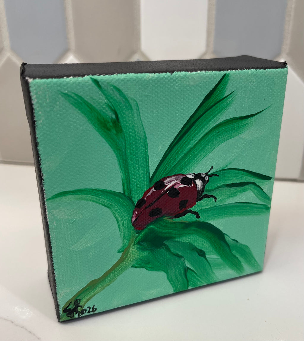 Ladybug Day