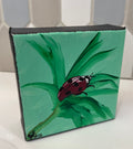 Ladybug Day