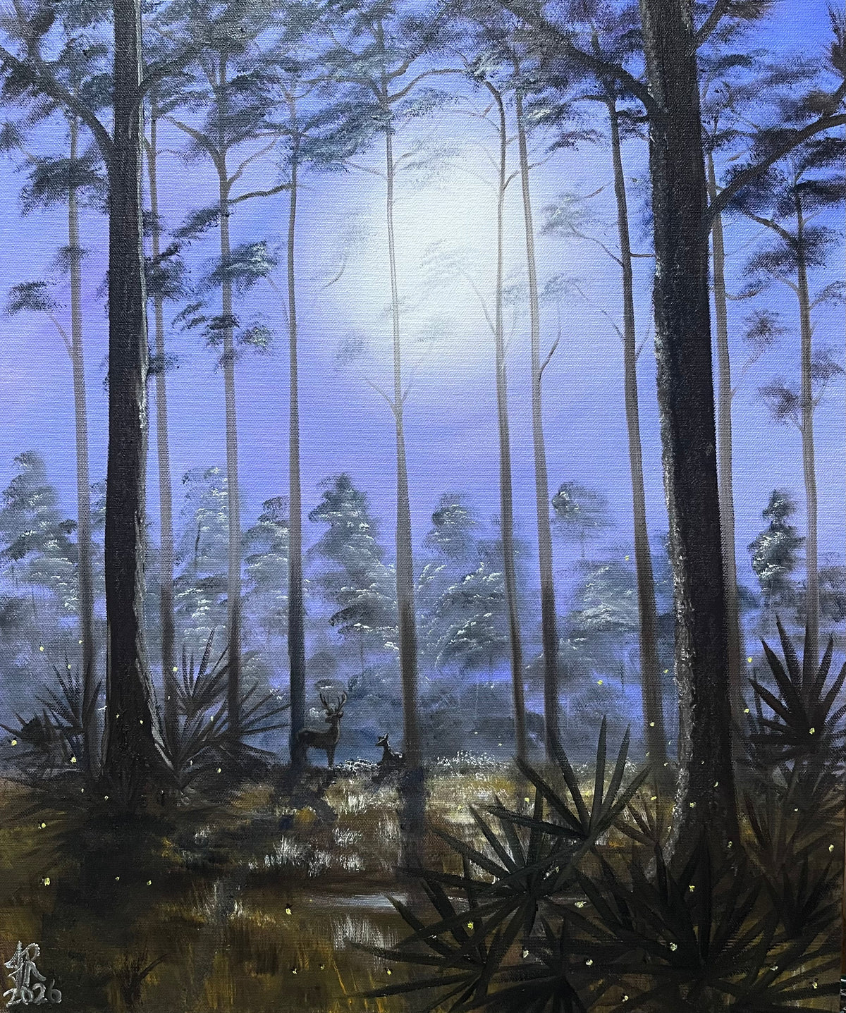 Night Shadows in a Florida Forest