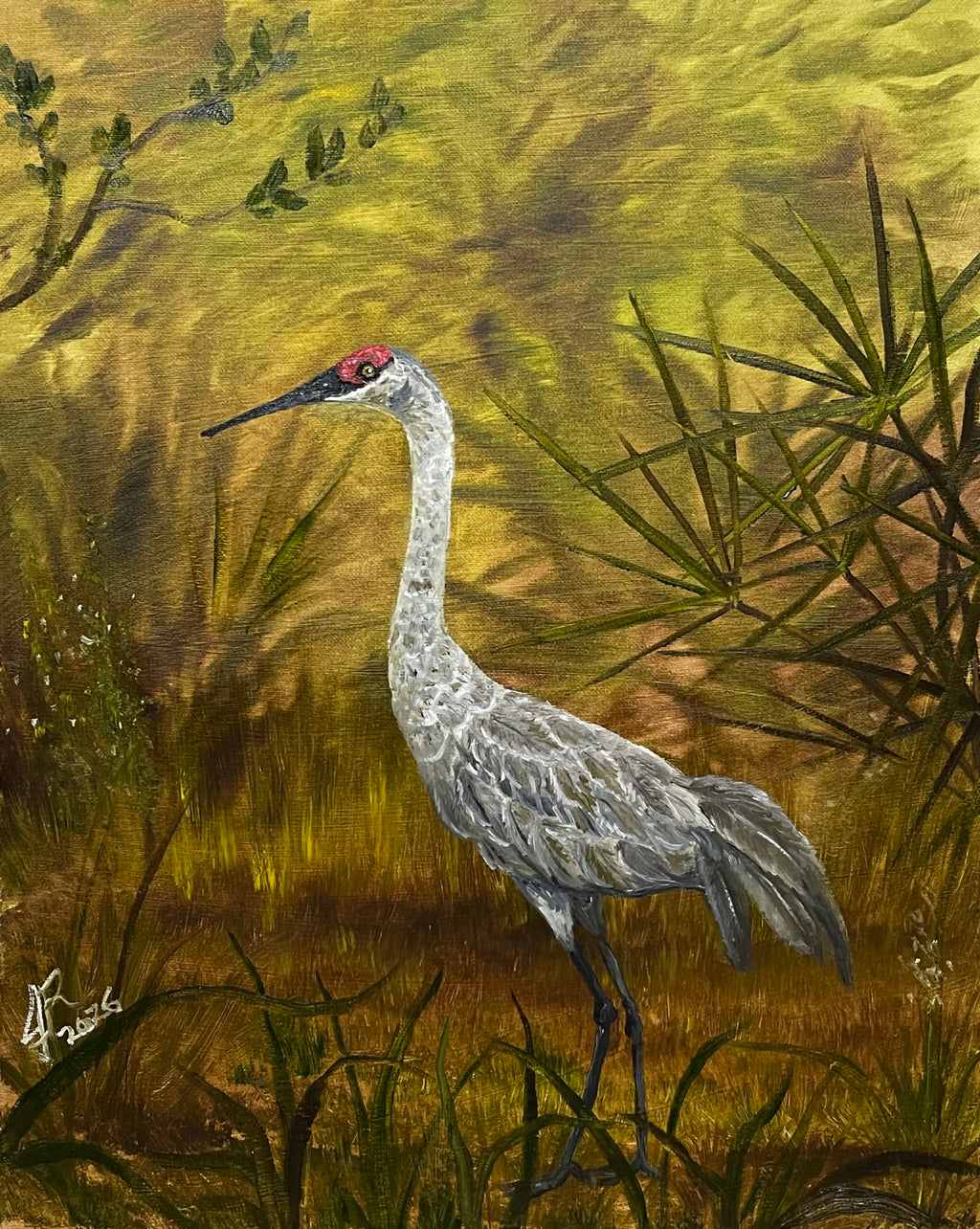 Sandhill Summer