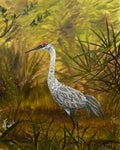 Sandhill Summer