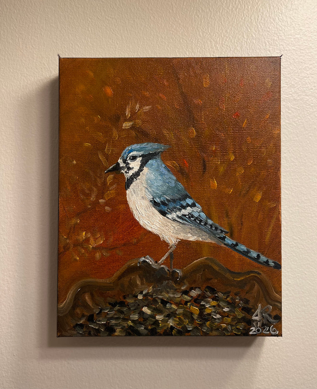 Blue Jay Lunch Time