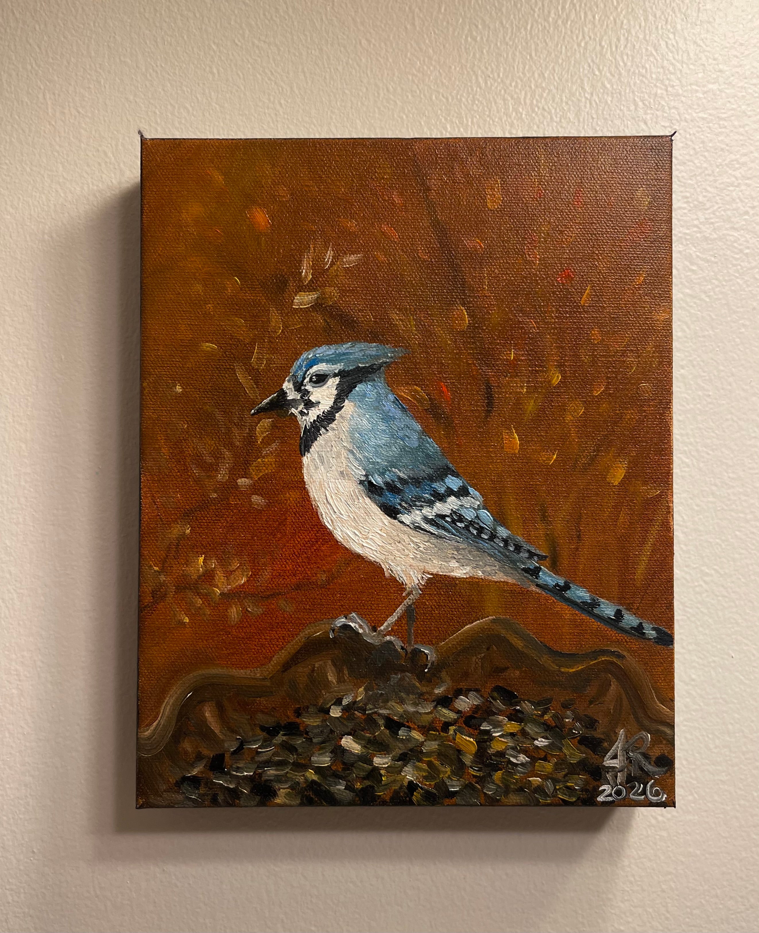 Blue Jay Lunch Time