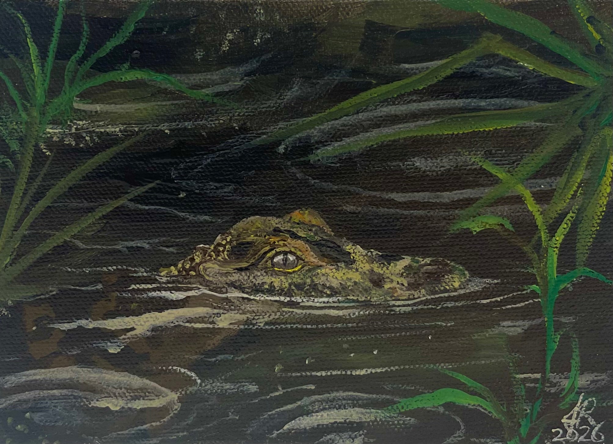 Sneaky Baby Gator