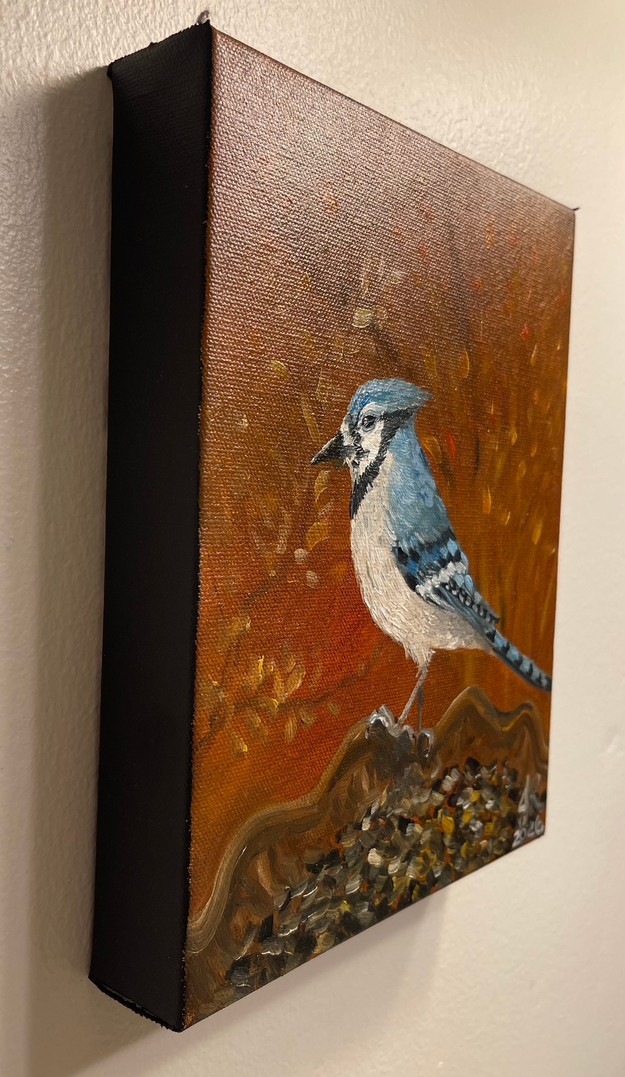 Blue Jay Lunch Time
