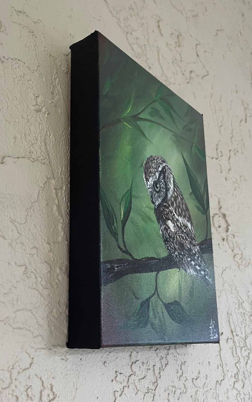 Eastern Screech Owl