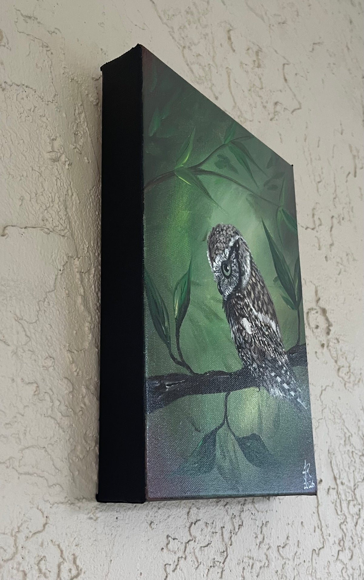 Eastern Screech Owl