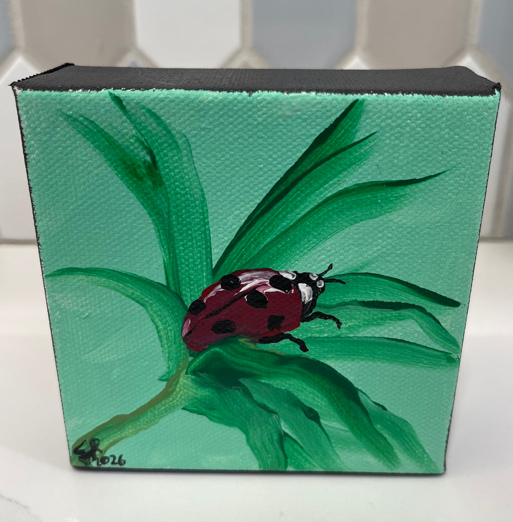 Ladybug Day