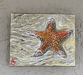 Sea Star in the Shallows