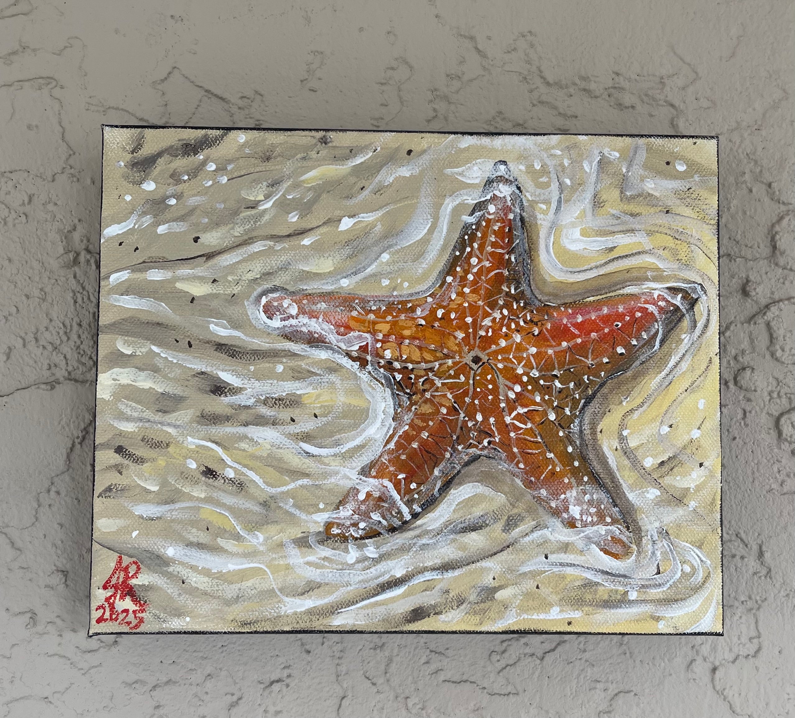Sea Star in the Shallows