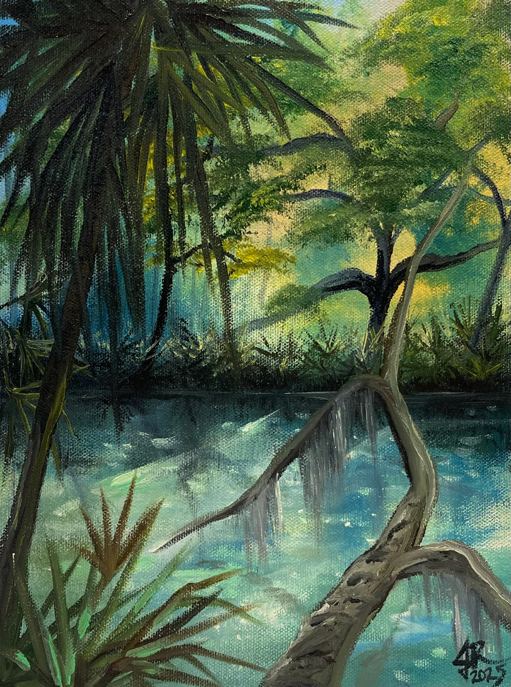 Peaceful Florida Forest Waters