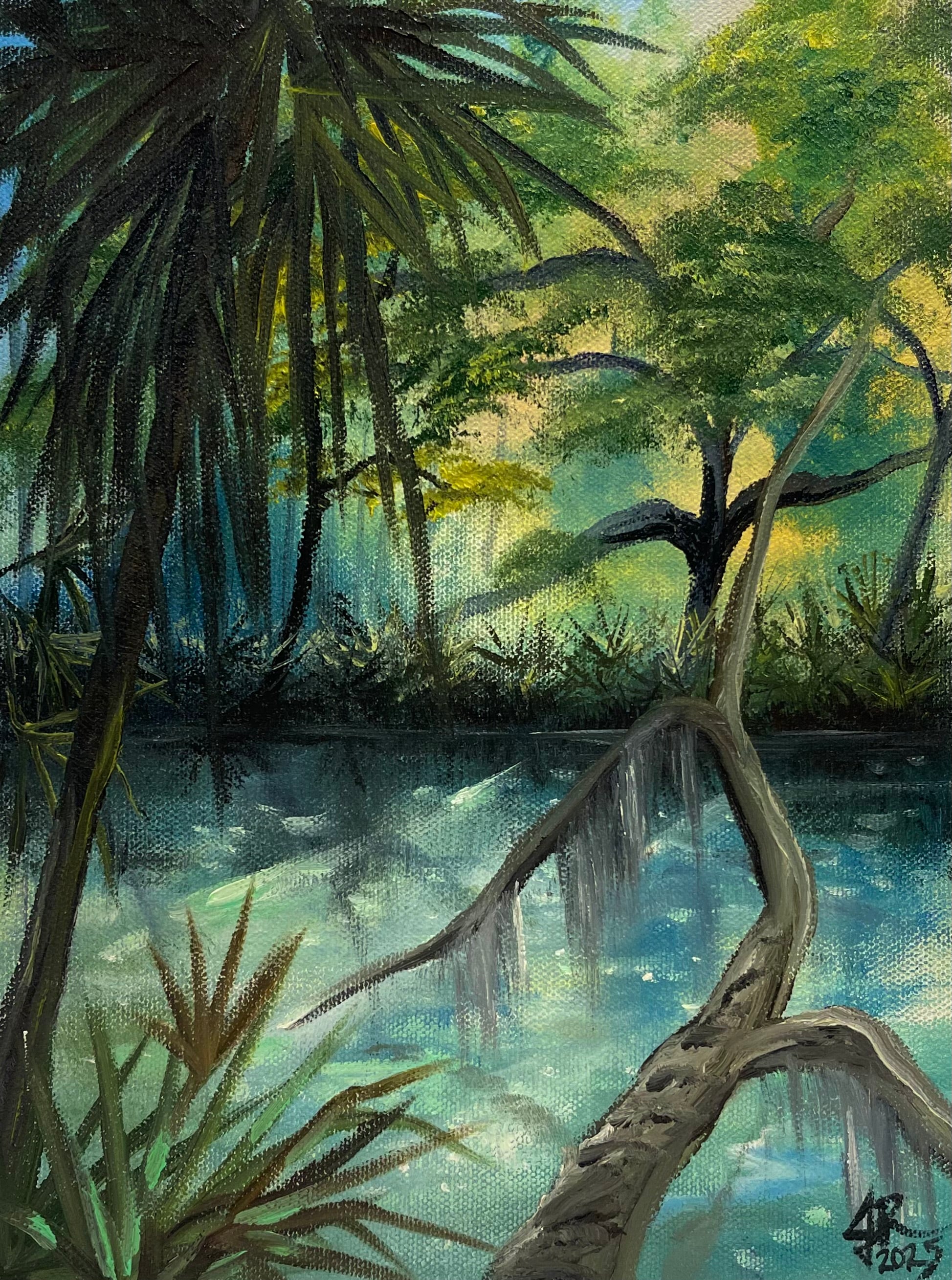 Peaceful Florida Forest Waters