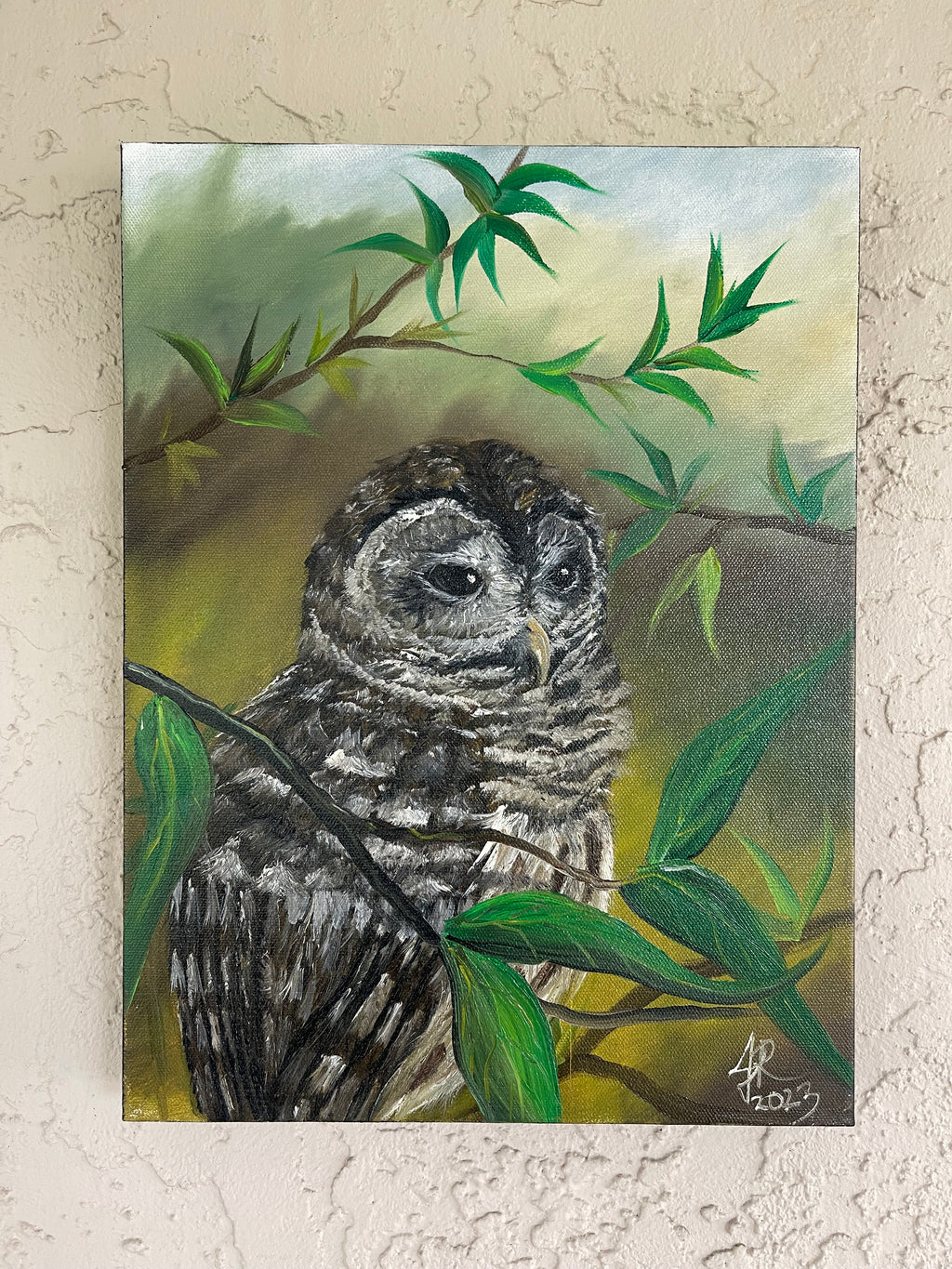 Perched Barred Owl