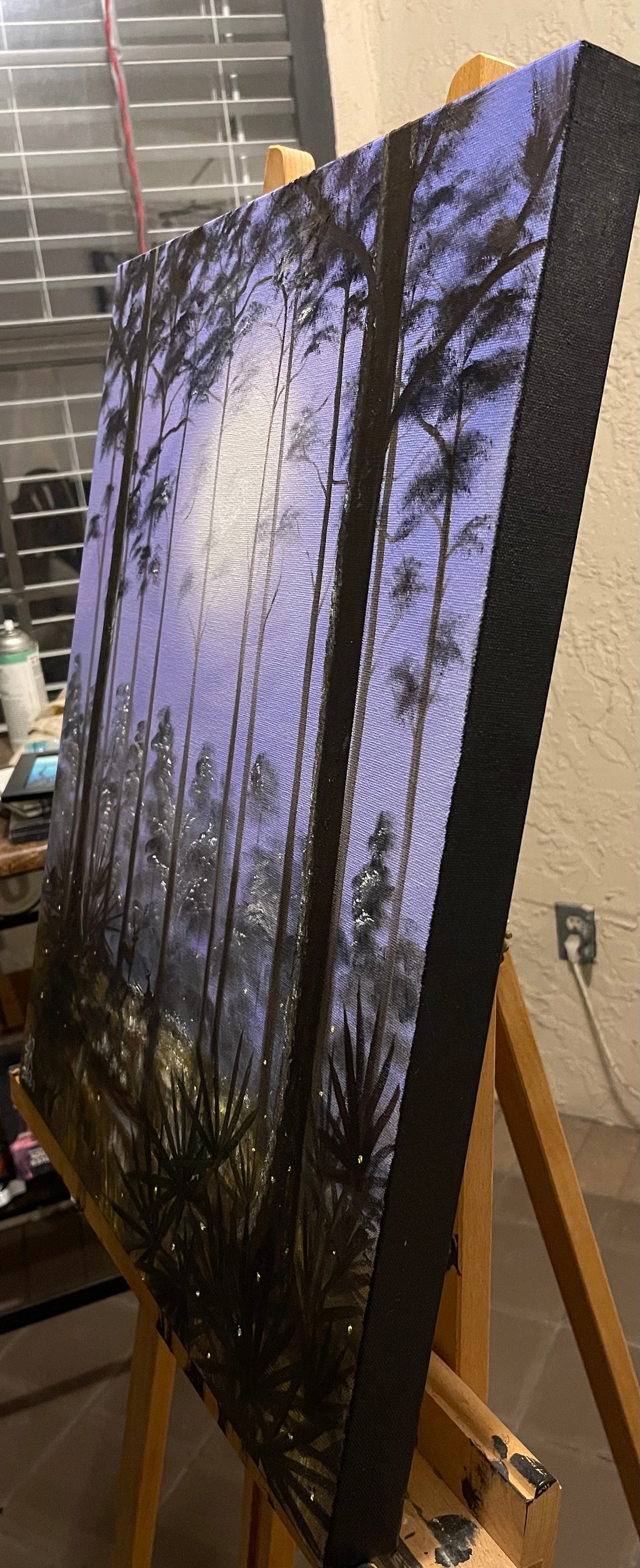 Night Shadows in a Florida Forest