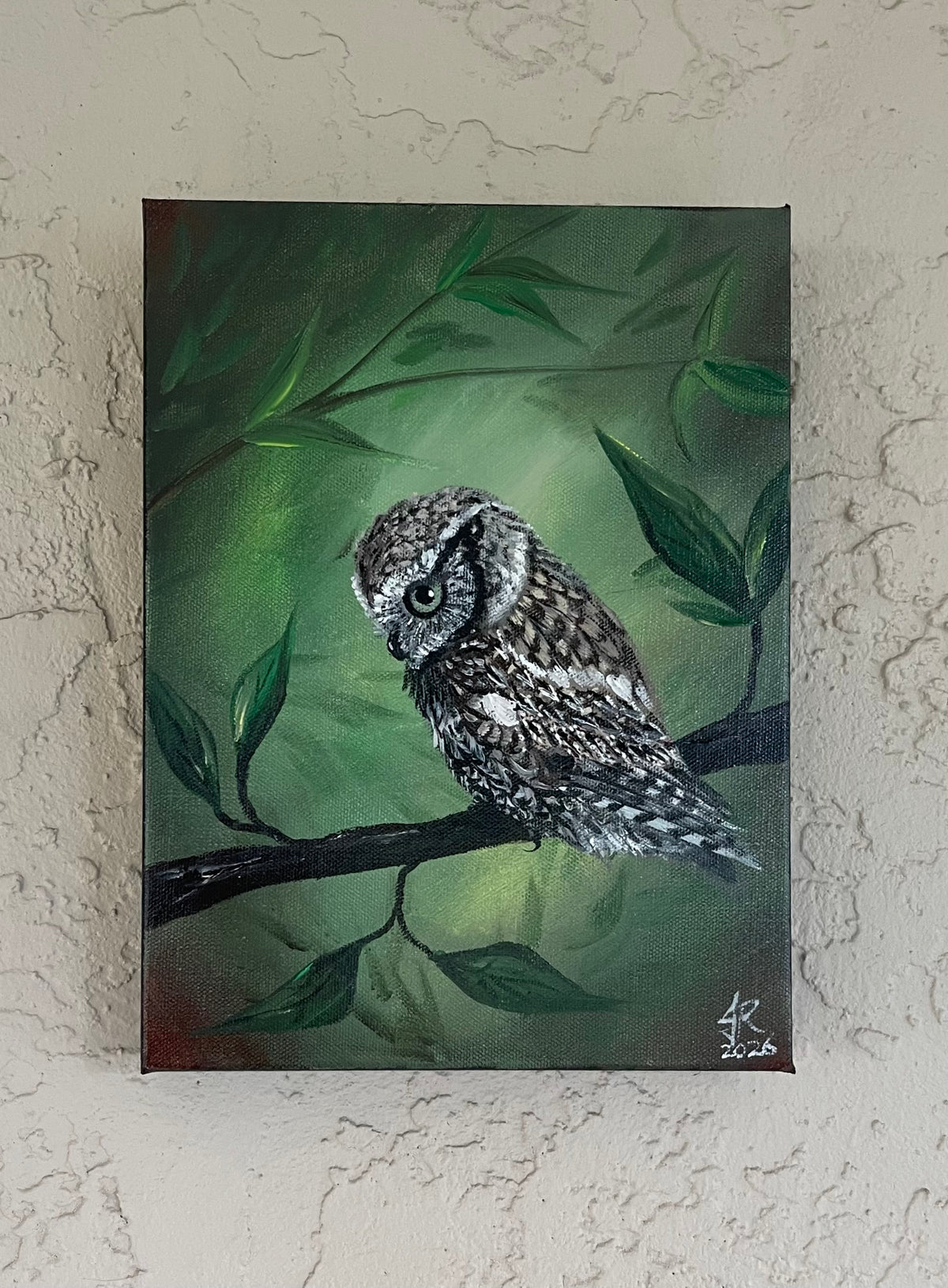 Eastern Screech Owl