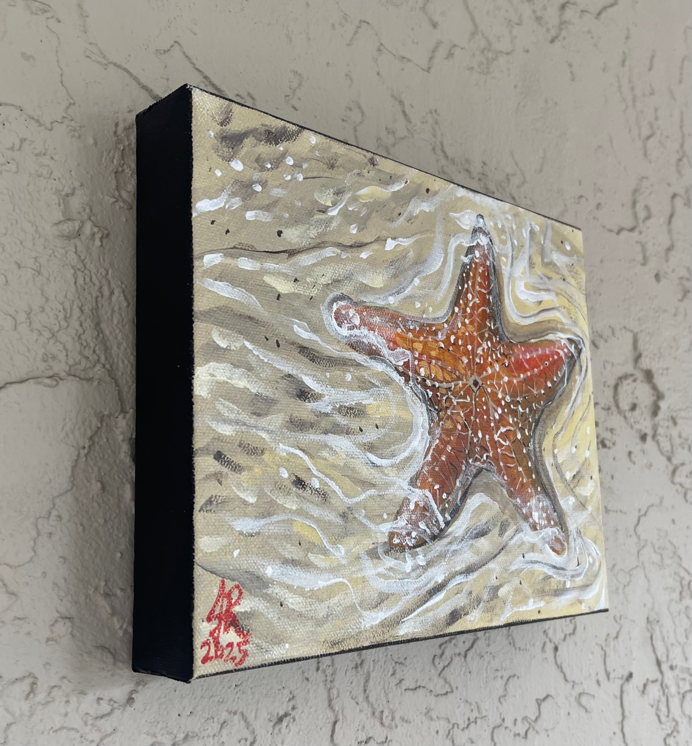 Sea Star in the Shallows