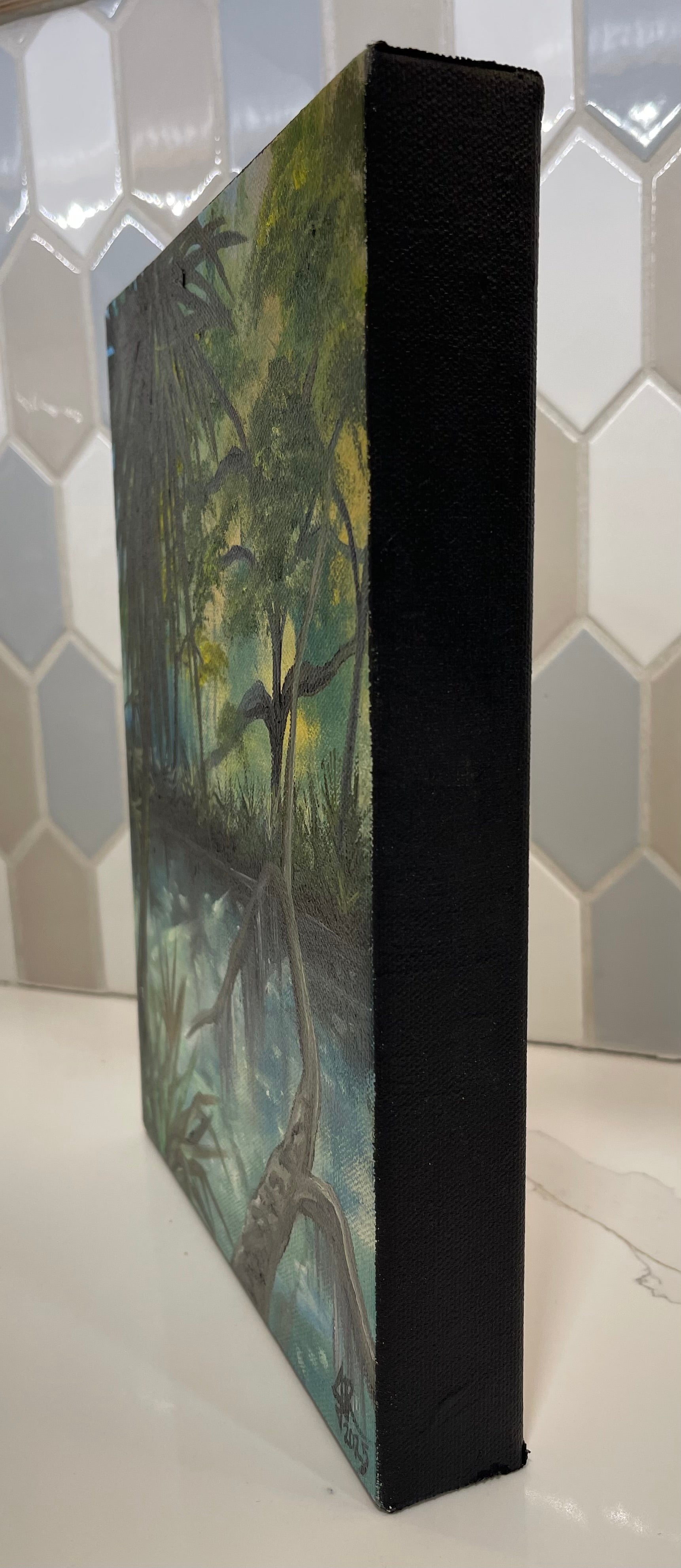 Peaceful Florida Forest Waters