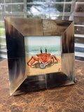 Crab Strikes it Rich