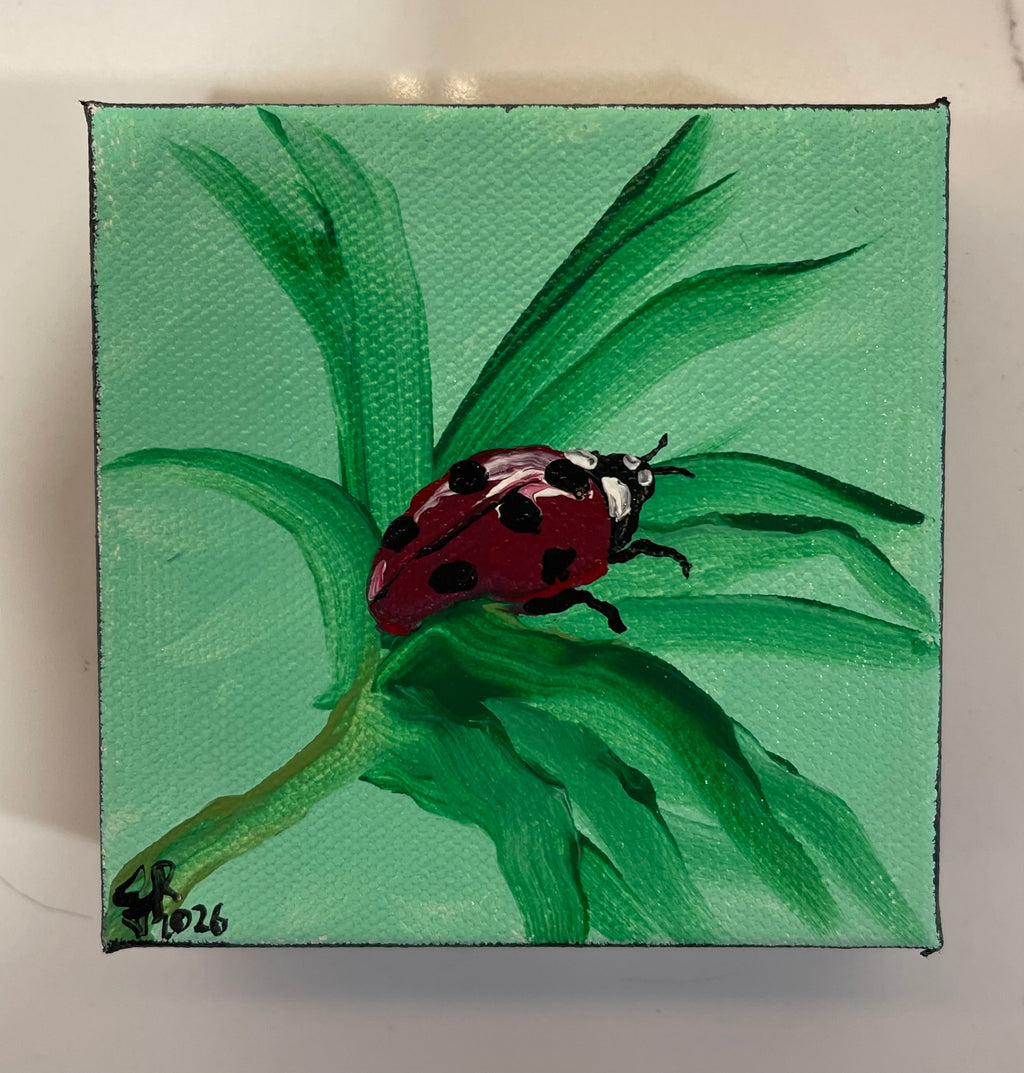 Ladybug Day