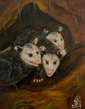Possum Babies at Home