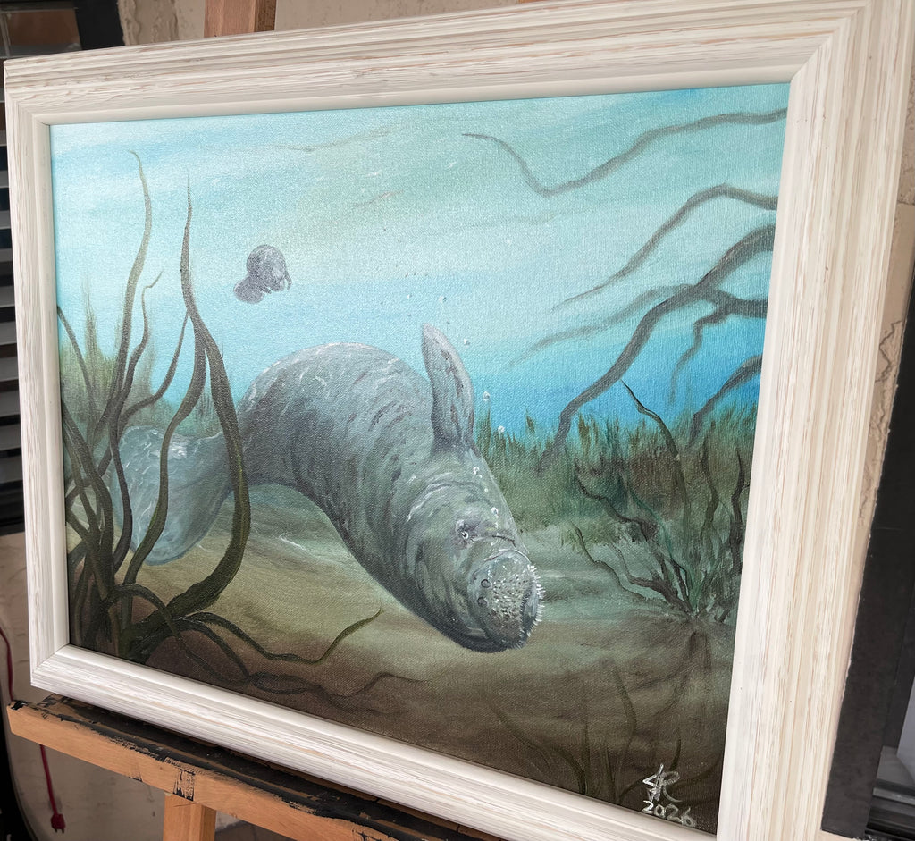 Curious Manatee