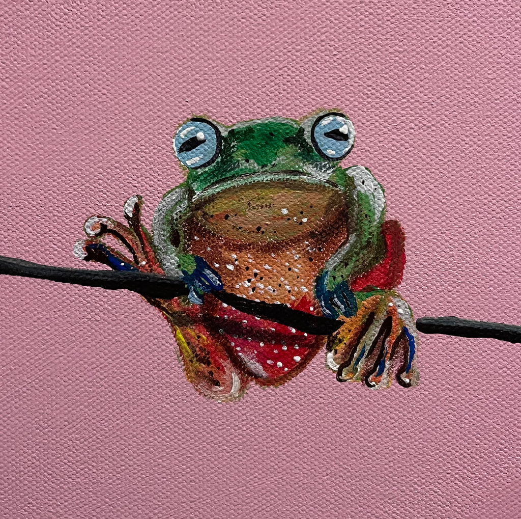 Tropical Tree Frog