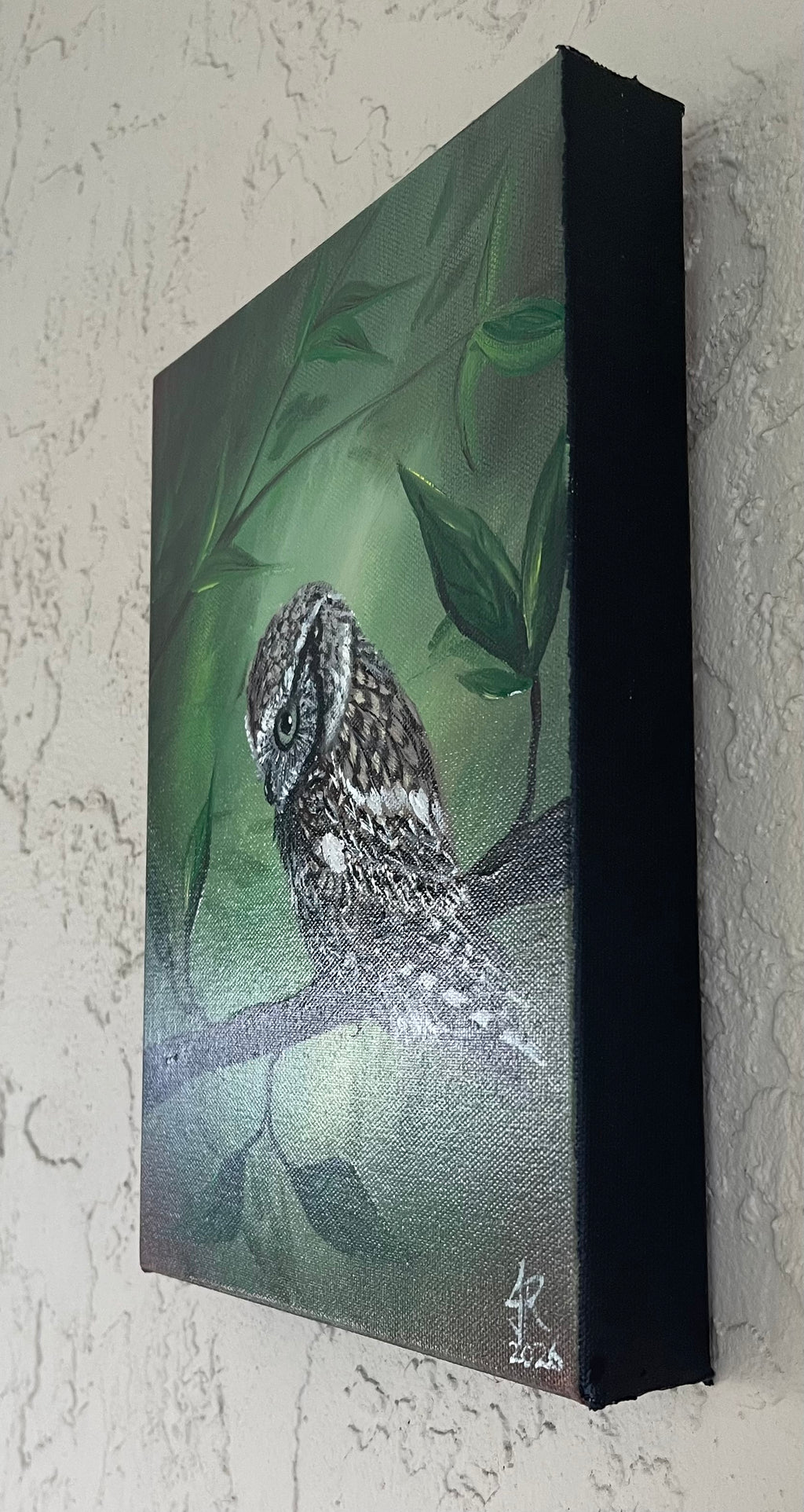 Eastern Screech Owl