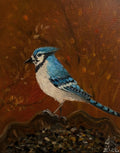 Blue Jay Lunch Time