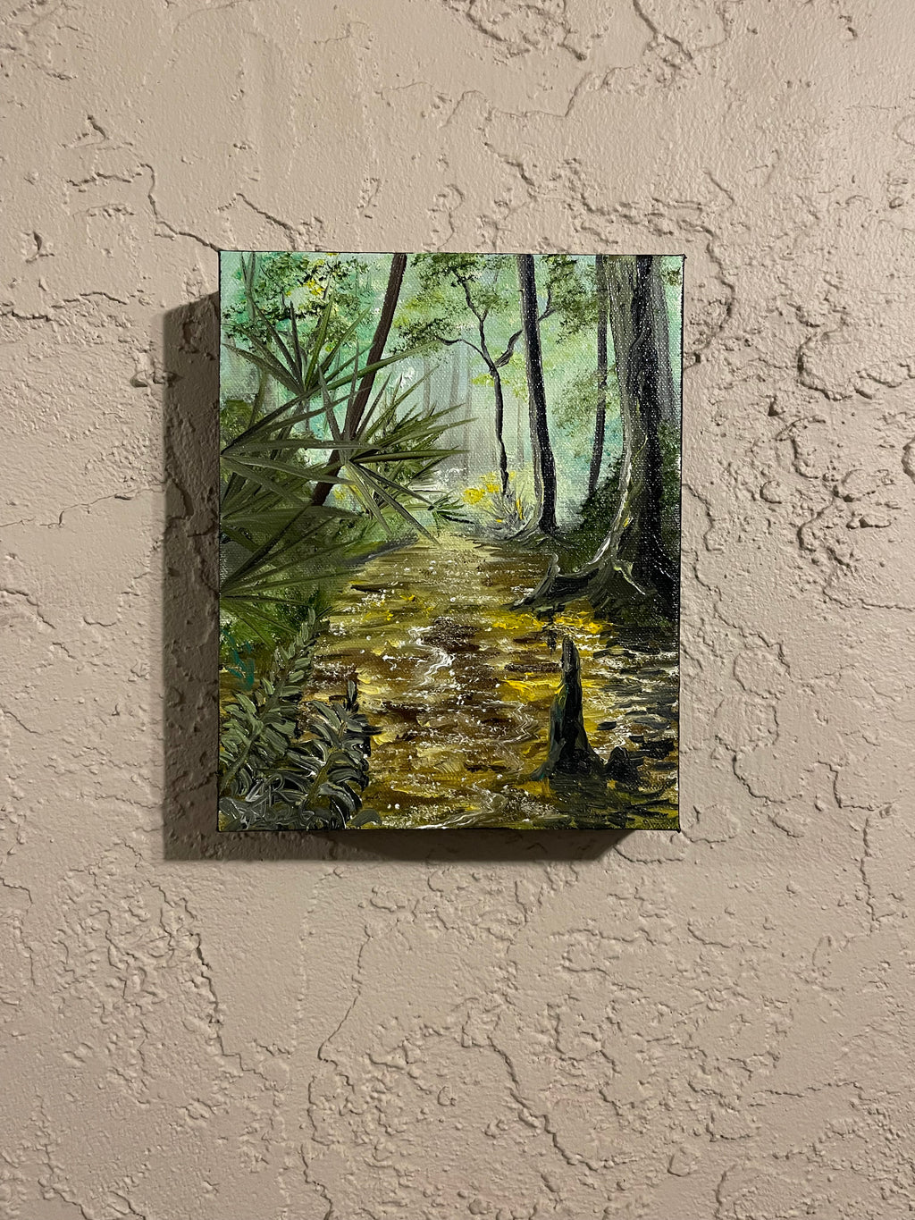 Florida Swamp River