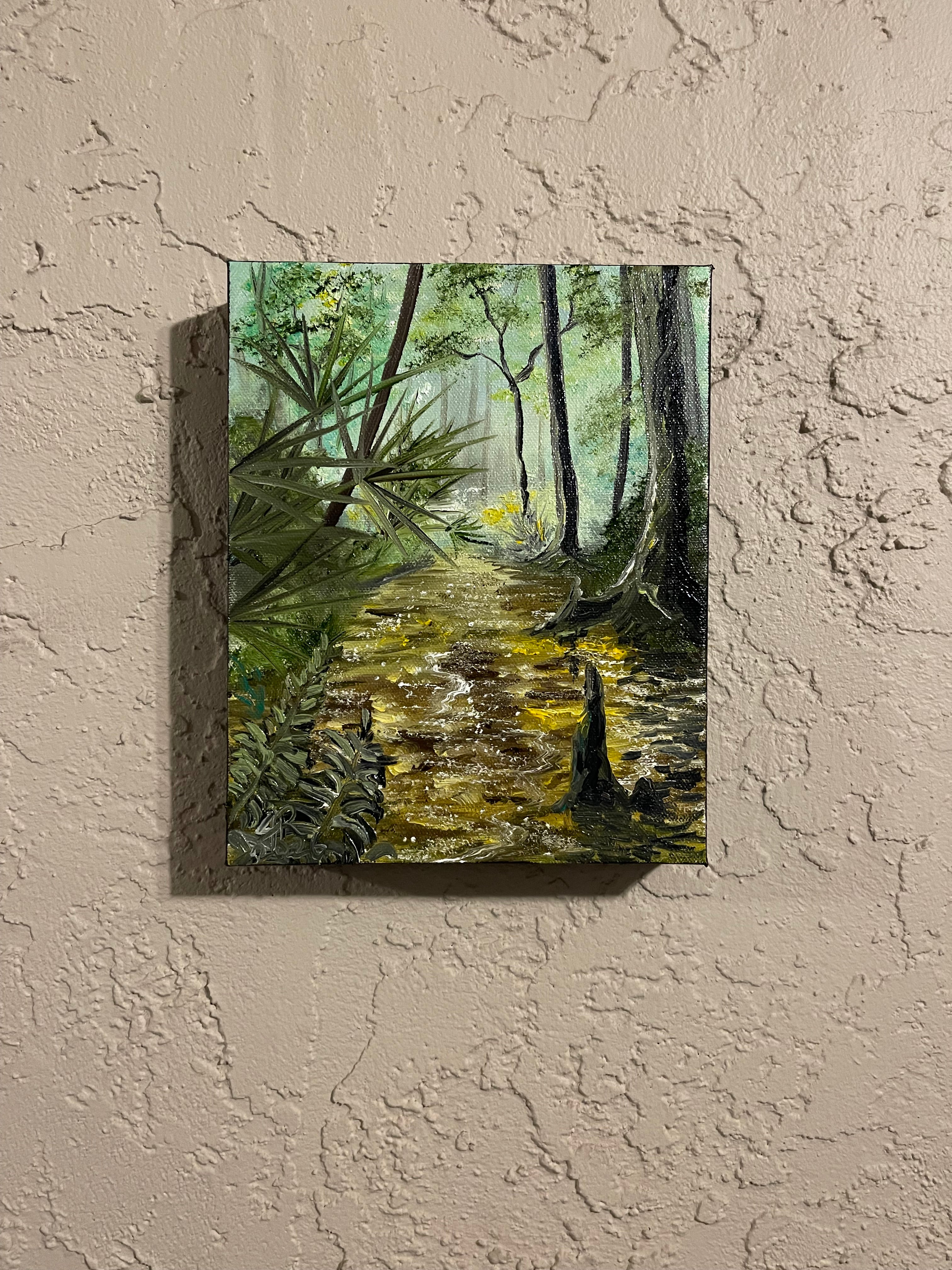 Florida Swamp River
