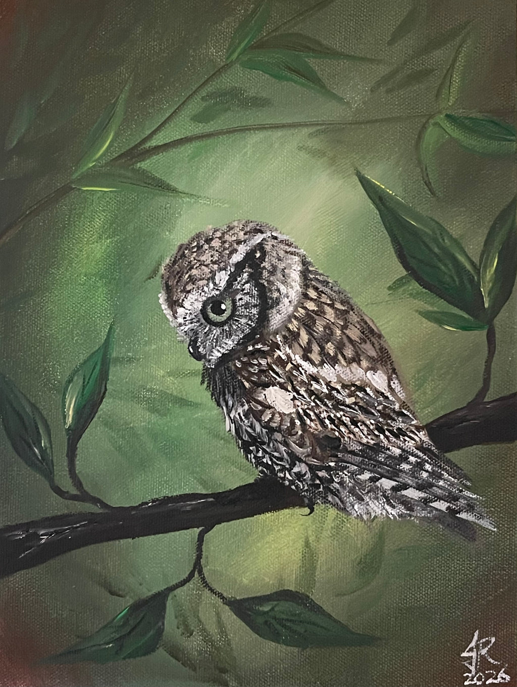 Eastern Screech Owl