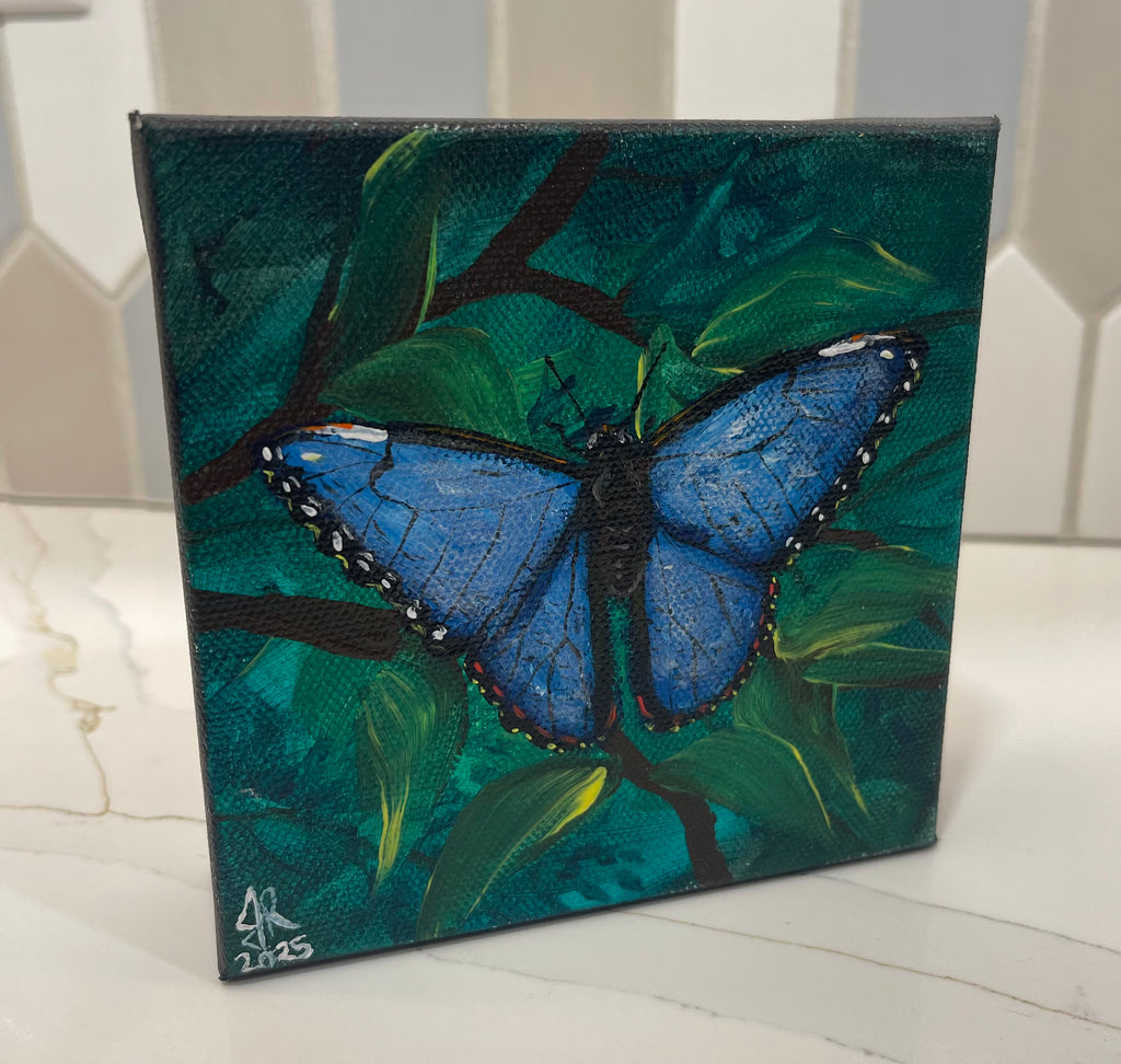 Blue Morpho Butterfly