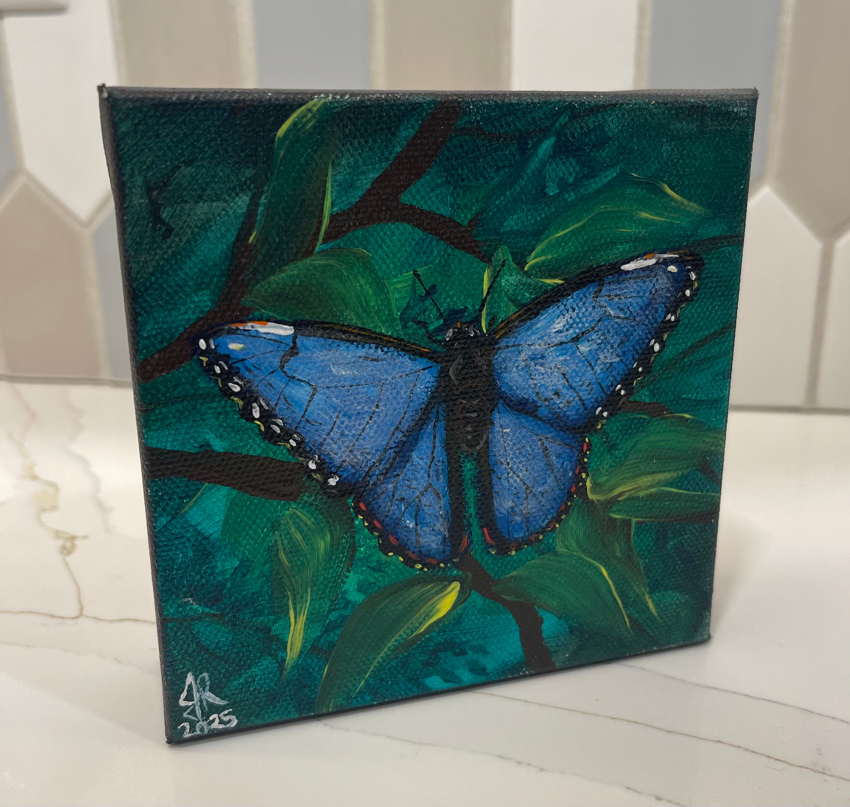 Blue Morpho Butterfly