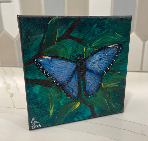 Blue Morpho Butterfly