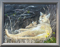 Mother Mountain Lion and Baby