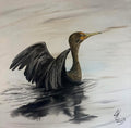 Double Crested Cormorant